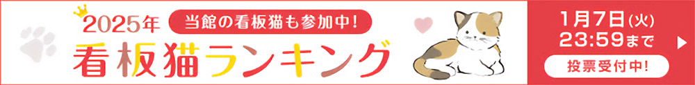 2025年 看板猫ランキング＜投票受付中＞