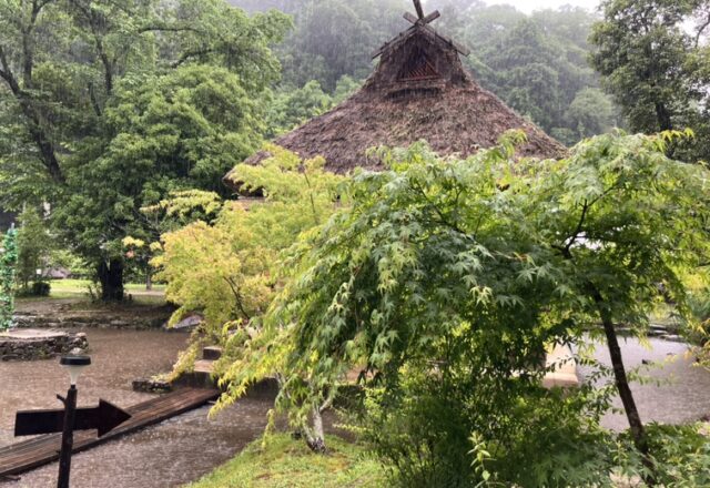 雨のウッドデザインパーク岡崎