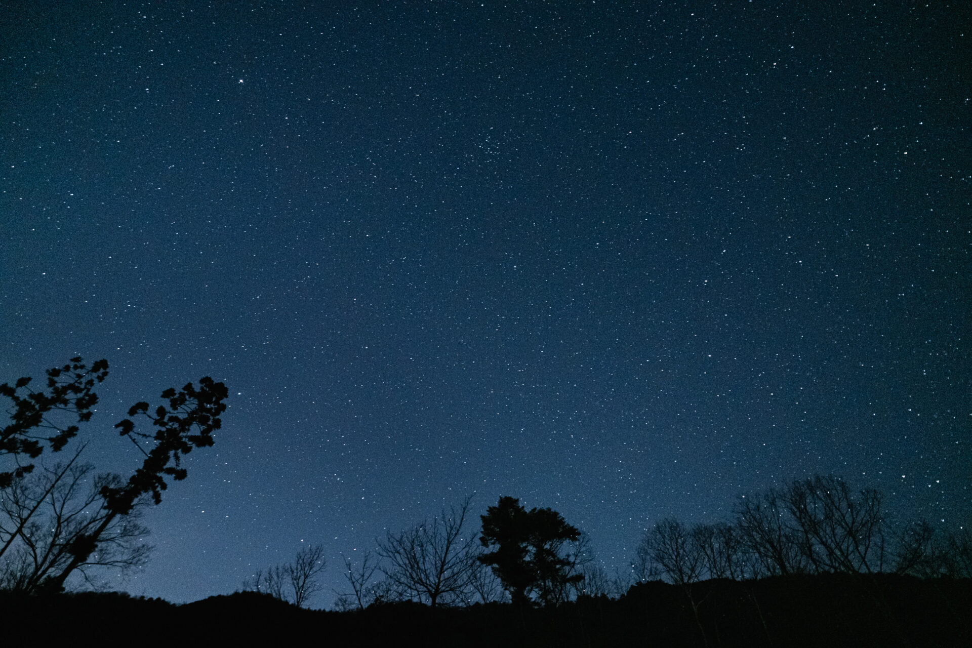 与位の星空
